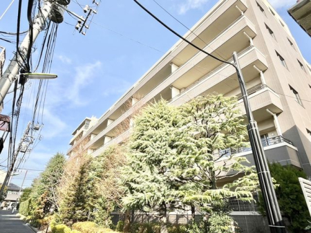 �����s���c�J�攔�J1���ڂ̒��Ã}���V�����̌��n�O�ώʐ^