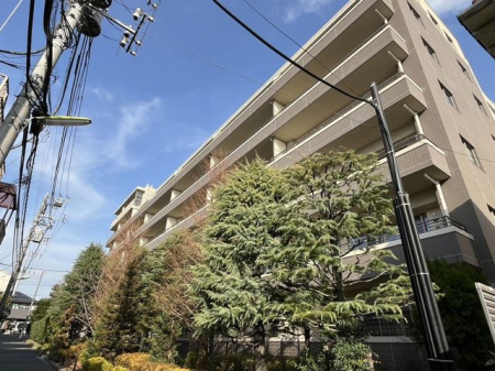 �����s���c�J�攔�J1���ڂ̒��Ã}���V�����̌��n�O�ώʐ^