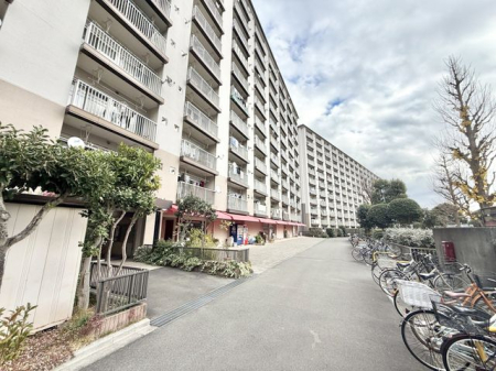 �����s���]�s�����3���ڂ̒��Ã}���V�����̌��n�O�ώʐ^