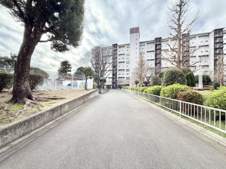 �����s���]�s�����3���ڂ̒��Ã}���V�����̌��n�O�ώʐ^