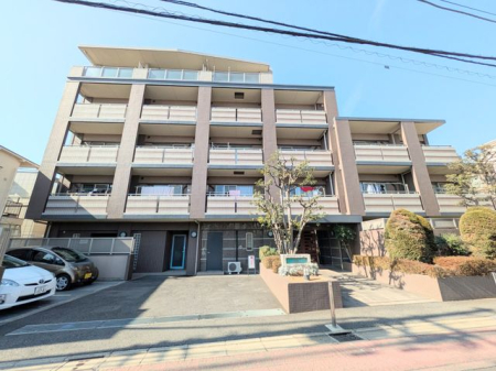 �����s���c�J���k��3���ڂ̒��Ã}���V�����̌��n�O�ώʐ^