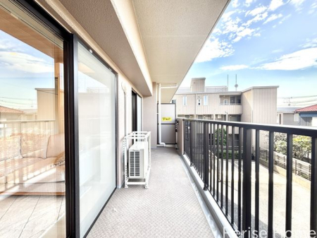 �����s���n���c��5���ڂ̒��Ã}���V�����̃G���g�����X