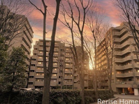 �����s���c�J���G�R2���ڂ̒��Ã}���V�����̌��n�O�ώʐ^