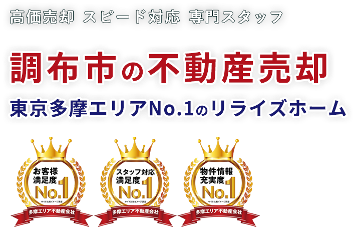 ���z�s�̕s���Y���p