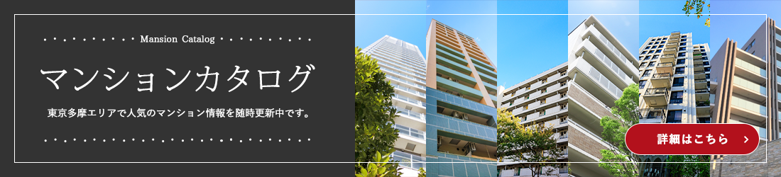 ���������G���A�̃}���V�����J�^���O